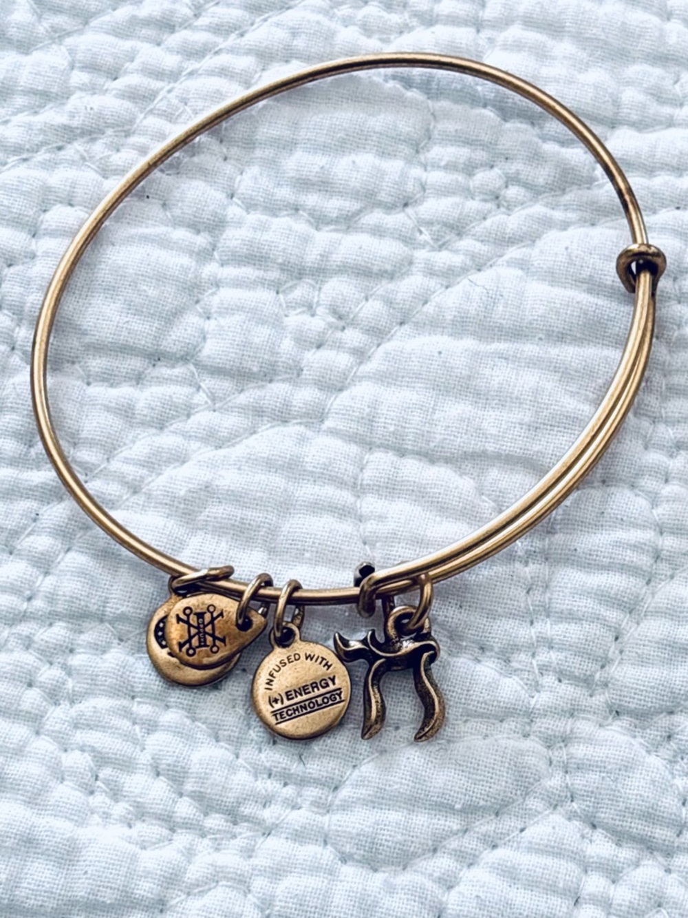 ❗️Alex & Ani Chai “Life” Hebrew Letter Jewish Charm Bracelet with Dangle Charms